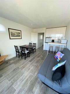Réf 558 Seignosse océan, bel appartement classé 1 étoile VUE MER , proche plage et centre, 4 personnes - Seignosse - 6