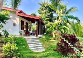 Pubudu's little paradise - Maha Induruwa - 8