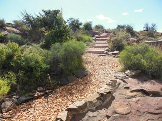 Zandfontein Bush Camp and Game Farm - 1