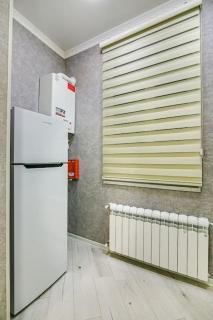 Nizami Park Family apartment - Baku - 1