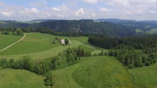 Ferienhaus Esche - Hinterzarten - 2