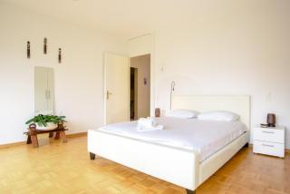 Tourelle 2 - Spacieux appartement dans le centre de Genève - Ginevra - 2
