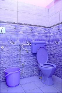 Paradise Dreamy Villa - Kottakupam - 2