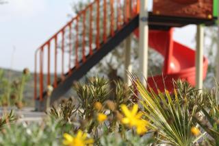 Lavender Residence - Kuşadası - 3