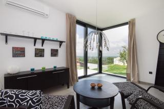 Modern Villa Anna with outdoor pool in Visnjan - Višnjan - 5