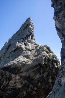 Ferienwohnung Waldliebe - 5