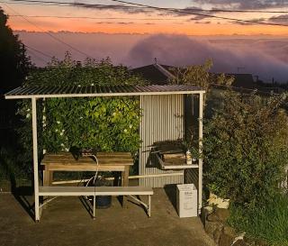 Villa RDO - Le Bon'Air des hauts - Le Tampon - 7