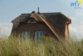 Landhaus Ostdüne Ferienwohnung Dünenmeer - Juist - 0