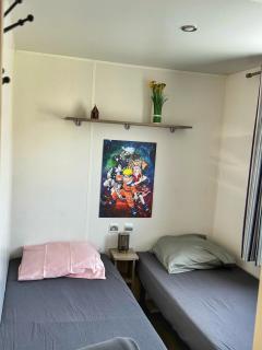 Grand Mobile-Home 6 Places climatisé - Munster - 4