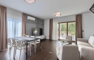 Villa-Minerva - Višnjan - 8