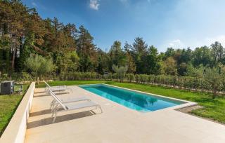 Villa-Vesta - Višnjan - 1