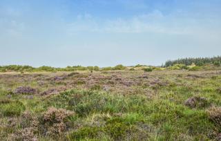 3 Bedroom Cozy Home In Toftlund - Toftlund - 8