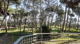 I Velieri - Cesenatico - 7