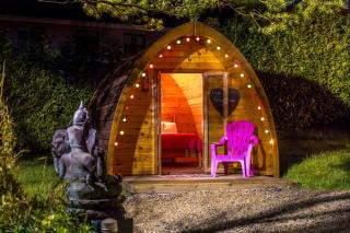 Podumna Glamping Village - Portumna - 9