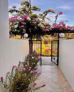 Trillo Bay Villas - Kababae - 8