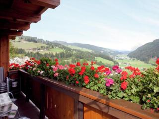 Apartment in Salzburger Land with balcony - Wagrain - 8
