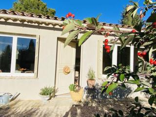 Holiday Cottage in Provence - Montauroux - 0