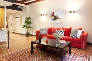 Enjoybcn Colon Apartments - Barcellona - 8