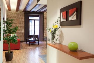 Enjoybcn Colon Apartments - 5