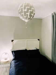 Spin & Sip - Dog-Friendly Vinyl Vibes Downtown - 1