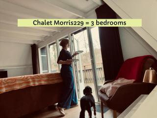 Morris229 - 9