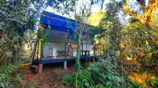 Bosque Contêiner Eco Guaricana - São José dos Pinhais - 7