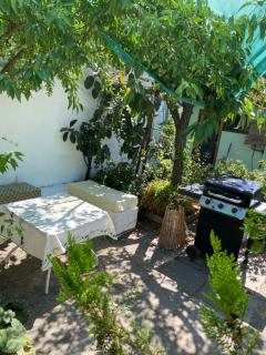 El Pillan "Travelers" House - 1