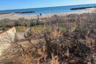 The waterfront - 6