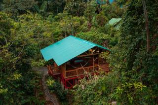 La Tigra Rainforest Lodge - Fortuna - 8