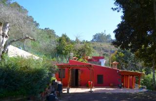 Sombra del Laurel - Valleseco - 7