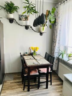 Apartament na Starym Mieście - Bolesławiec - 5