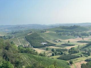 Cà d'Rita Monferrato - Vaglio Serra - 5