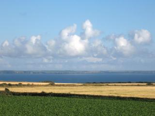 Skomer View Solva - Solva - 0