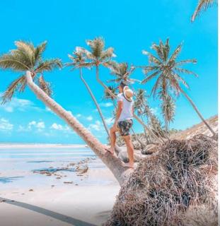 Zaya Beach Residence - 8