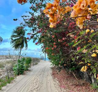 Zaya Beach Residence - 6