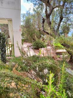 Casa Terradico - Gagliano del Capo - 3