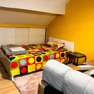 Maison de charme à Annemasse avec jardin privé - Annemasse - 2
