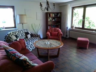 Tannhäuser Ferienwohnung - Bad Dürrheim - 2