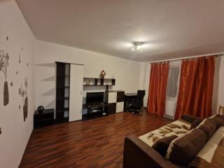 Best Stay Cocorului, self check-in any hour - Braşov - 9