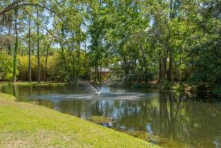 Harbour Oaks # 111 - Demere Park - 8