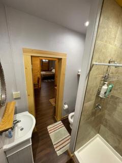 Downtown Apartment Del Norte Colorado Apartment B - 6