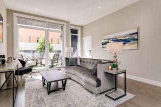 2 Newly Built Luxury Condos with Private Roofdeck - Chicago - 3