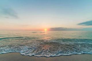 Stroll to Siesta Beach from Serene Condo + (bikes) - Siesta Key - 6