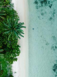 Niu Beach Hôtel Moorea - Moorea - 5