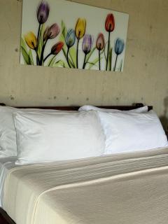 The Serene House Bed & Breakfast - Luquillo - 6