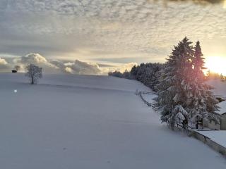 Pension Hubertus - Winterberg - 2