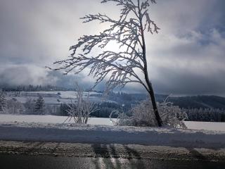 Pension Hubertus - Winterberg - 7