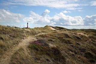 Wattliebe in Norddorf auf Amrum - 3