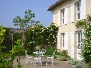 Luxury 18th C renovated stone house with heated swimming pool in countryside - Blanzay-sur-Boutonne - 6