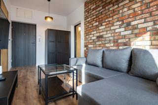 Nikiszowiec Chic Apartment - Kattowitz - 8
